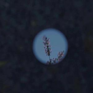 中国最漂亮最漂亮最刺激最刺激的美女黄色网
