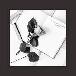 中国最漂亮最漂亮最刺激最刺激的美女黄色网
